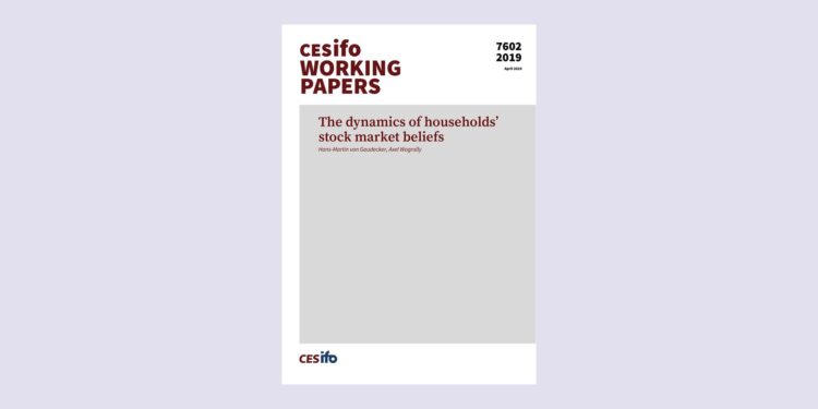 The dynamics of households’ stock market beliefs